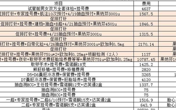 2024试管代怀费用【2024试管代怀费用全面解析】
