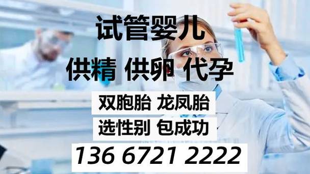 北京三代供卵试管代怀(北京三代供卵试管代怀:新生命的奇迹)